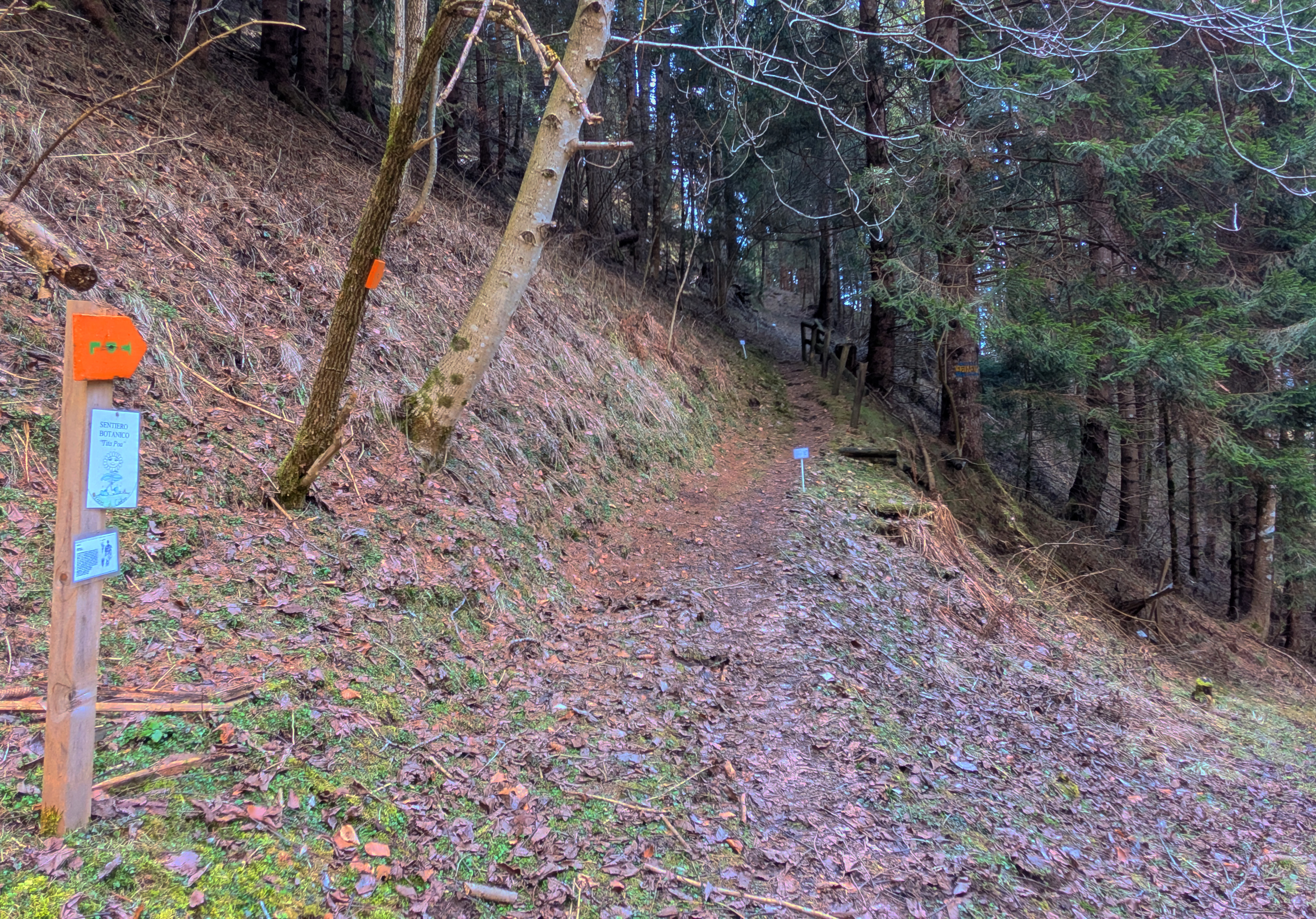 Sentiero botanico